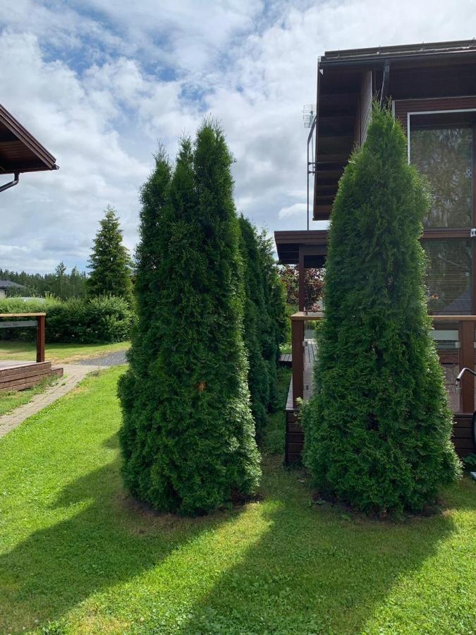 Kiurunrinne Villas Virasoja Eksteriør billede